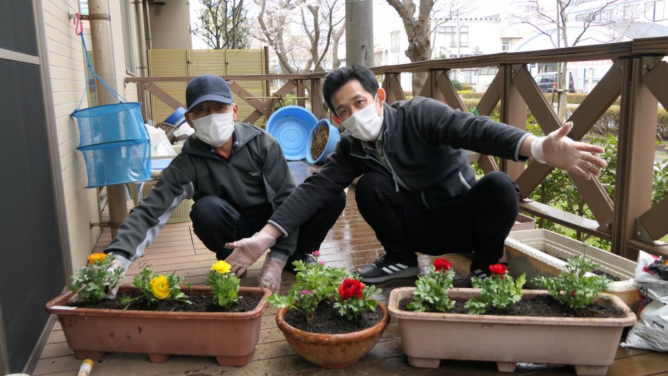 由志園様より牡丹と花の苗をいただきました その２ はまかぜブログ 介護老人保健施設はまかぜ 鳥取県境港市 社会福祉法人 恩賜財団 済生会
